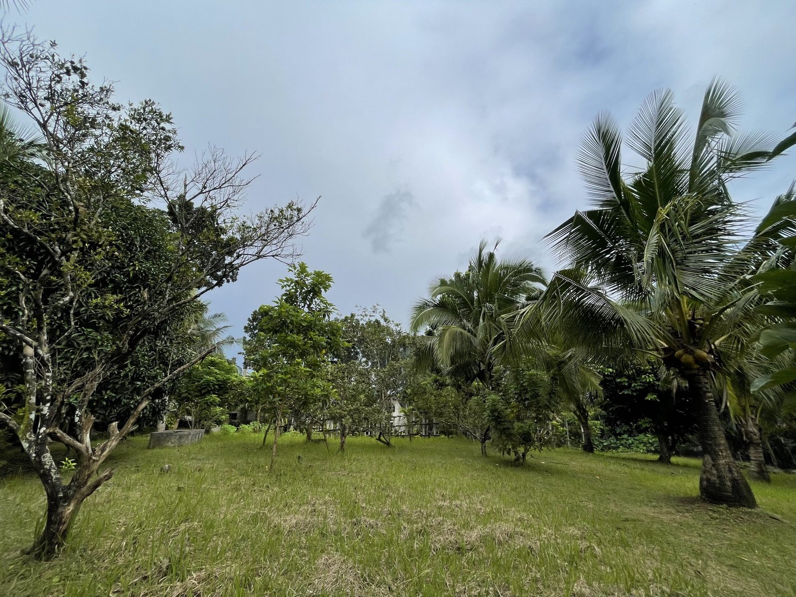 FARM LOT IN SILANG, CAVITE NEAR NUVALI