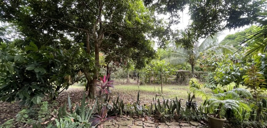 FARM LOT IN SILANG, CAVITE NEAR NUVALI