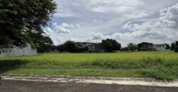 Treveia Nuvali Lot for Sale – Prime 301 SQM in a High-End Ayala Community