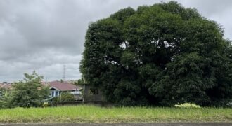 🌄 Residential Lot for Sale in Metrogate Silang – Prime 195 SQM Lot in a Peaceful, Elevated Community