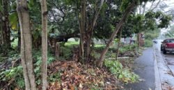 424sqm Residential Lot for Sale in Carmel Heights Royale, Dasmariñas Cavite 424sqm Residential Lot for Sale in Carmel Heights Royale, Dasmariñas Cavite