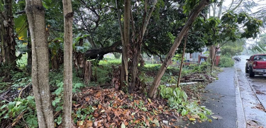 424sqm Residential Lot for Sale in Carmel Heights Royale, Dasmariñas Cavite 424sqm Residential Lot for Sale in Carmel Heights Royale, Dasmariñas Cavite