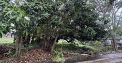 424sqm Residential Lot for Sale in Carmel Heights Royale, Dasmariñas Cavite 424sqm Residential Lot for Sale in Carmel Heights Royale, Dasmariñas Cavite