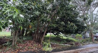 424sqm Residential Lot for Sale in Carmel Heights Royale, Dasmariñas Cavite 424sqm Residential Lot for Sale in Carmel Heights Royale, Dasmariñas Cavite