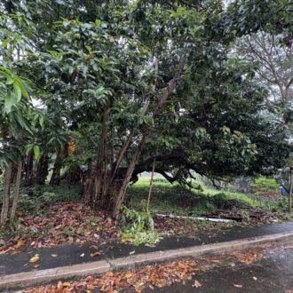 424sqm Residential Lot for Sale in Carmel Heights Royale, Dasmariñas Cavite