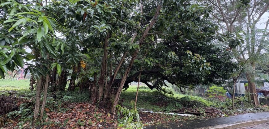 424sqm Residential Lot for Sale in Carmel Heights Royale, Dasmariñas Cavite 424sqm Residential Lot for Sale in Carmel Heights Royale, Dasmariñas Cavite
