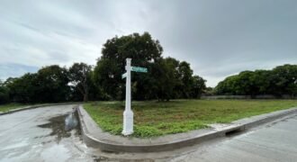 📐 Corner Lot for Sale in Golden Meadows Biñan, Laguna | Near SLEX & Nuvali