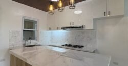 Brand New 4 Bedroom House for Sale in South Forbes Silang Cavite | Chateau De Paris