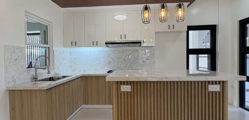 Brand New 4 Bedroom House for Sale in South Forbes Silang Cavite | Chateau De Paris