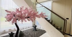 Smart Home Mansion with Pool in Tokyo Mansions, South Forbes