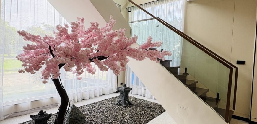 Smart Home Mansion with Pool in Tokyo Mansions, South Forbes