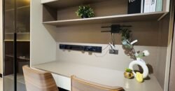 Smart Home Mansion with Pool in Tokyo Mansions, South Forbes