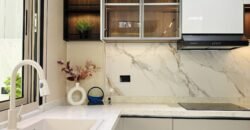 Smart Home Mansion with Pool in Tokyo Mansions, South Forbes