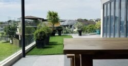 Smart Home Mansion with Pool in Tokyo Mansions, South Forbes