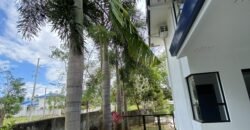 Renovated 5BR Corner House in Avida Parkway Settings | ₱14.8M