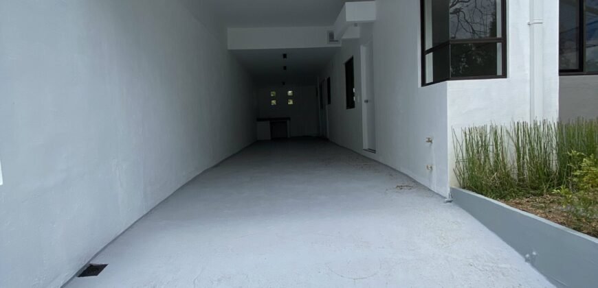 Renovated 5BR Corner House in Avida Parkway Settings | ₱14.8M