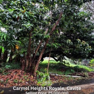 424sqm Premium Lot in Carmel Heights Royale Dasmariñas | ₱5M