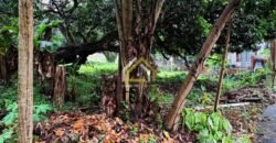 424sqm Premium Lot in Carmel Heights Royale Dasmariñas | ₱5M