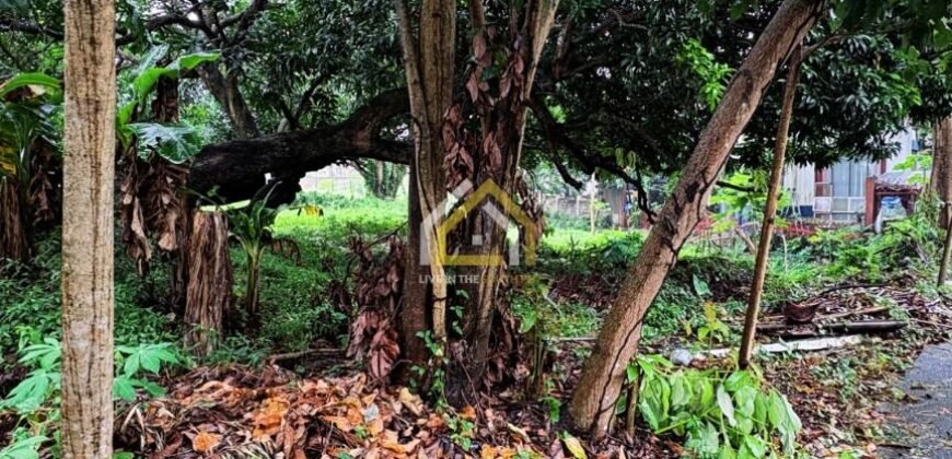 424sqm Premium Lot in Carmel Heights Royale Dasmariñas | ₱5M